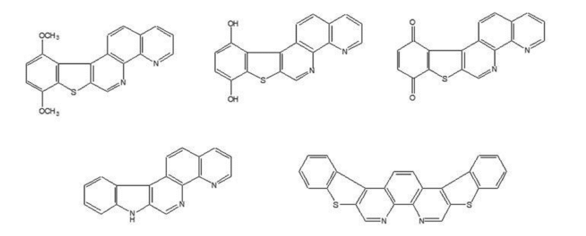 A series of molecules