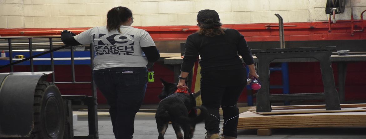Snake River Search conducts K9 training at Indoor DRC