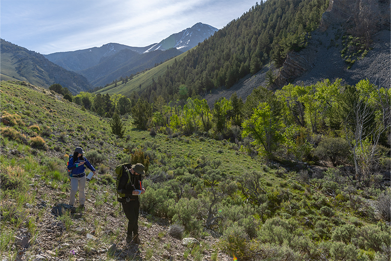 Students at Idaho State University's Geology Field Camp at the Lost River Field Station in June 2023.