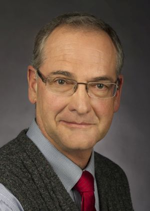 Paul K Link, Ph.D.  Professor