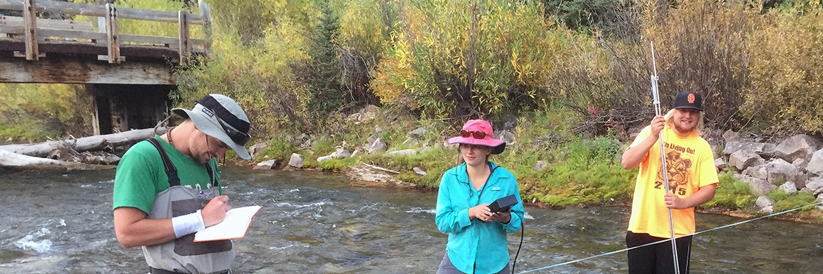 students sampling in the river