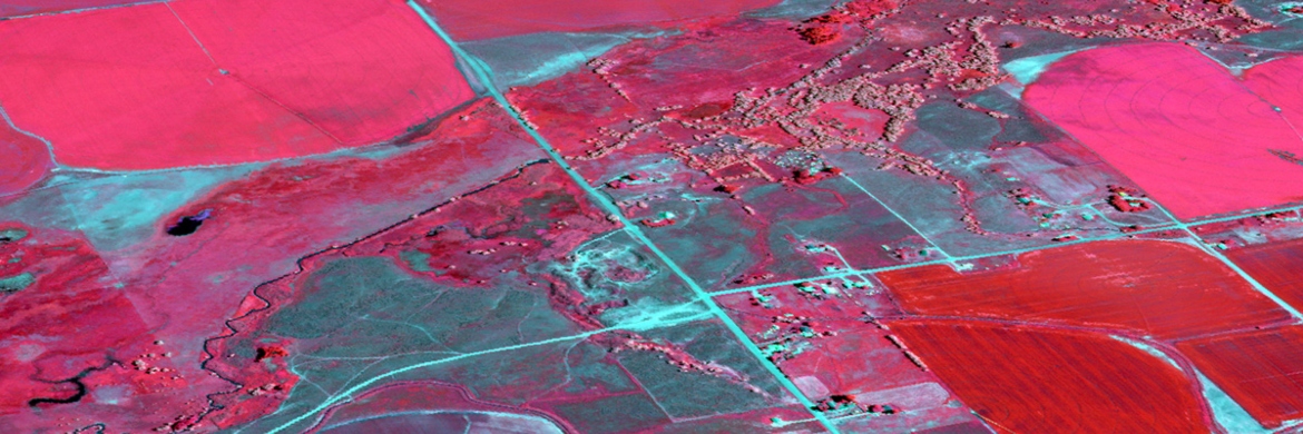 A false color representation of agricultural land in the Fort Hall area.