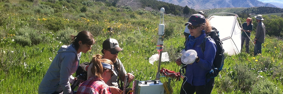 Students doing research in the field