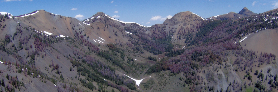 Mountain landscape