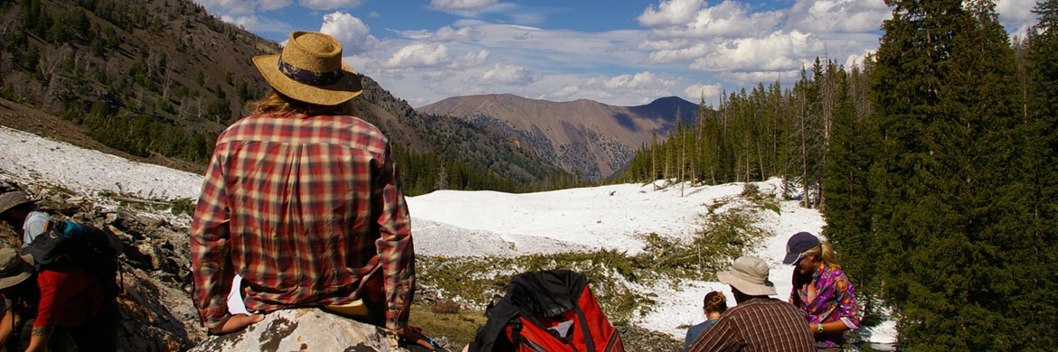 Students doing field work