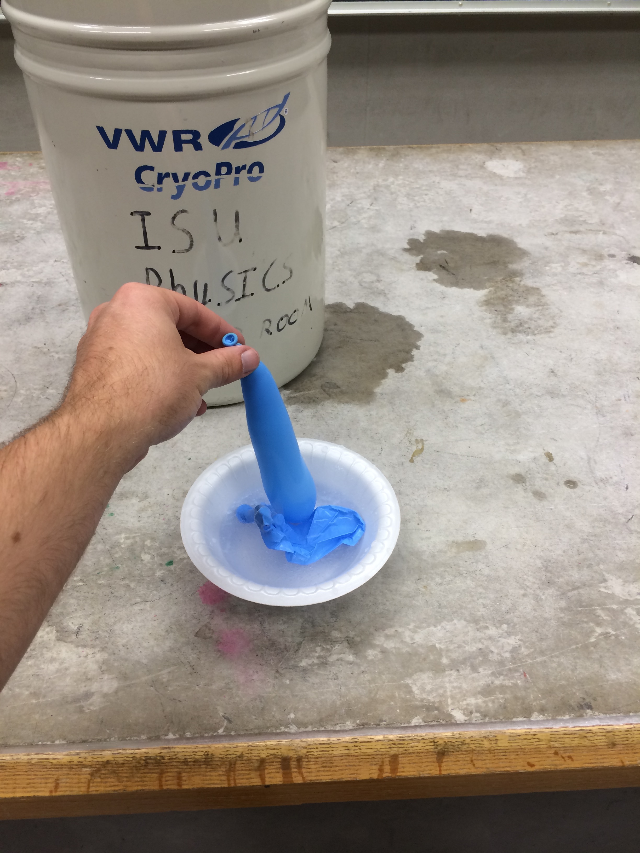 A balloon dunked in liquid nitrogen