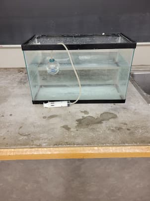 A ball floating on top of water in a fishbowl. The ball is connected to a syringe