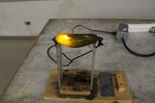a pickle being electrocuted