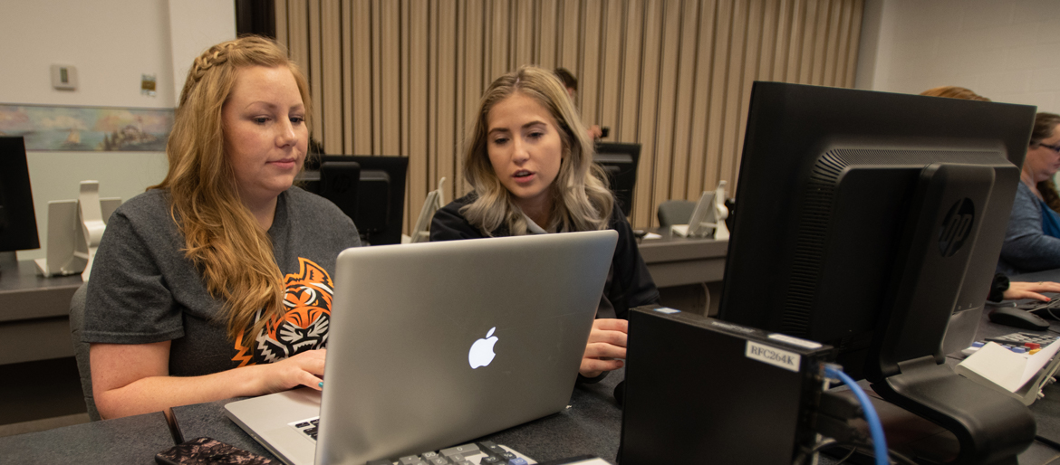 Students working in an Accounting Technology computer lab