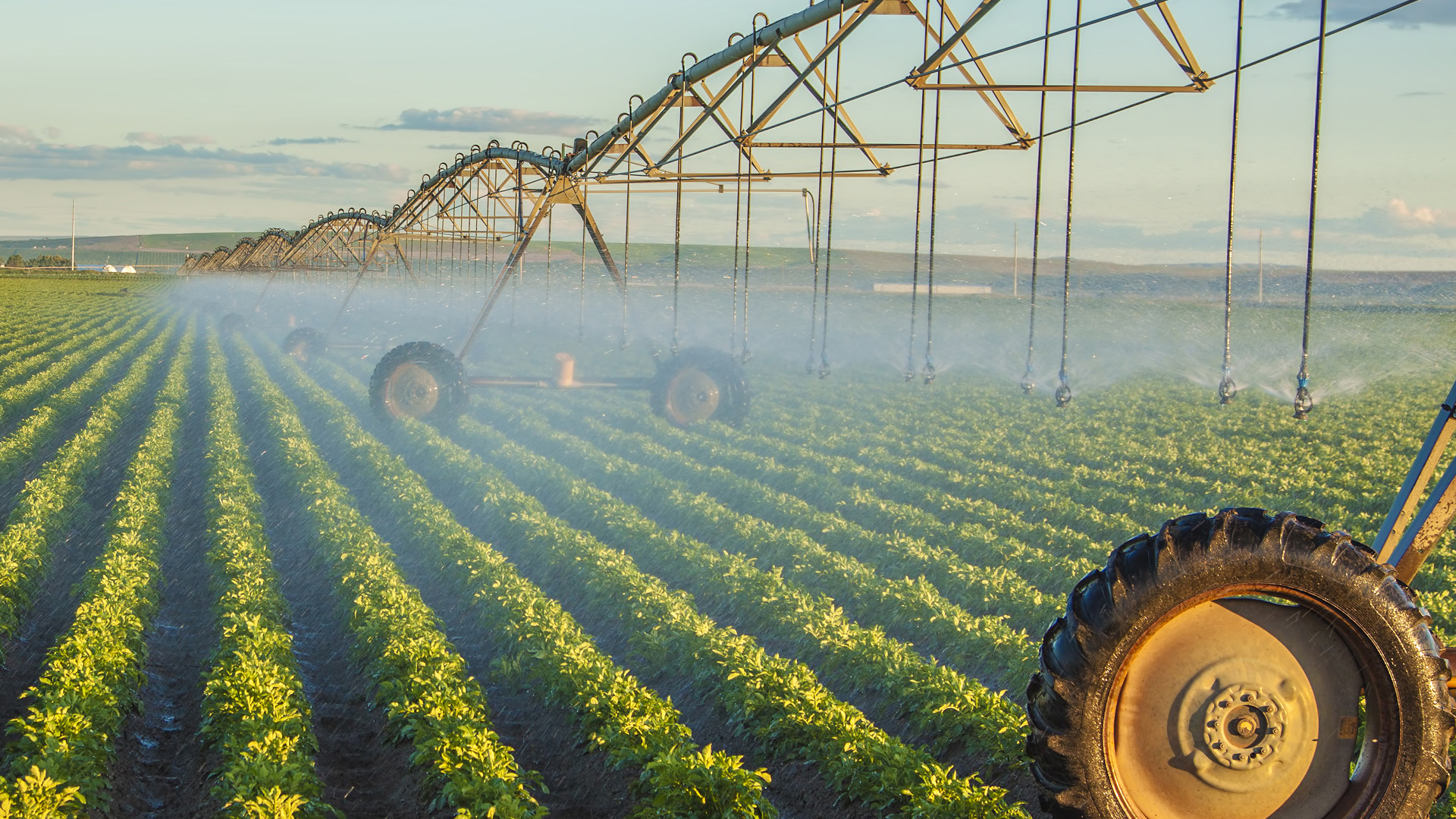 Image of irrigation pipe in a green field
