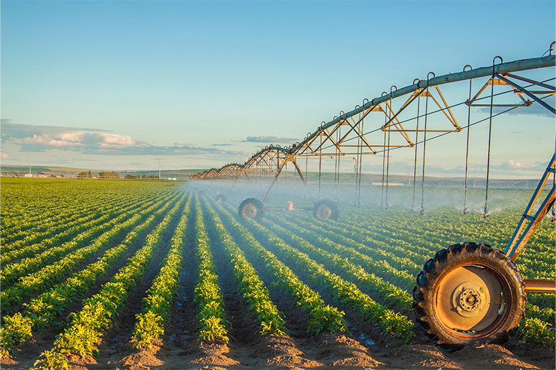 Photos of a green field being watered