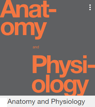 Picture of book cover; orange text reads: Anatomy and Physiology