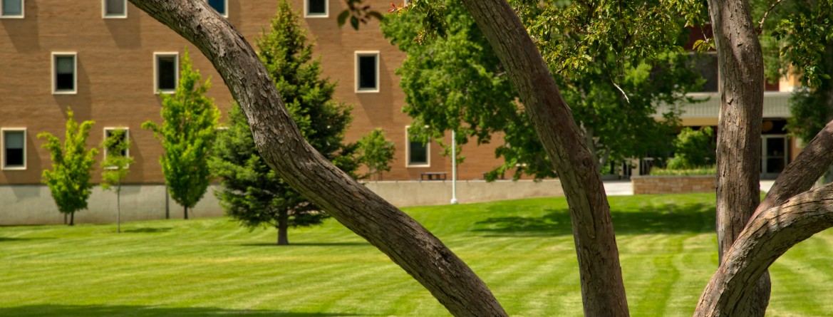 building with tree