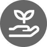 Seedling icon