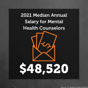Top text: 2021 Median Annual Salary for Mental Health Counselors. Symbol of envelope with money inside. Bottom text: $48,520