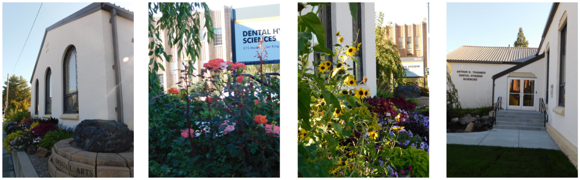 4 pictures of Dental Hygiene Building exterior and landscaping