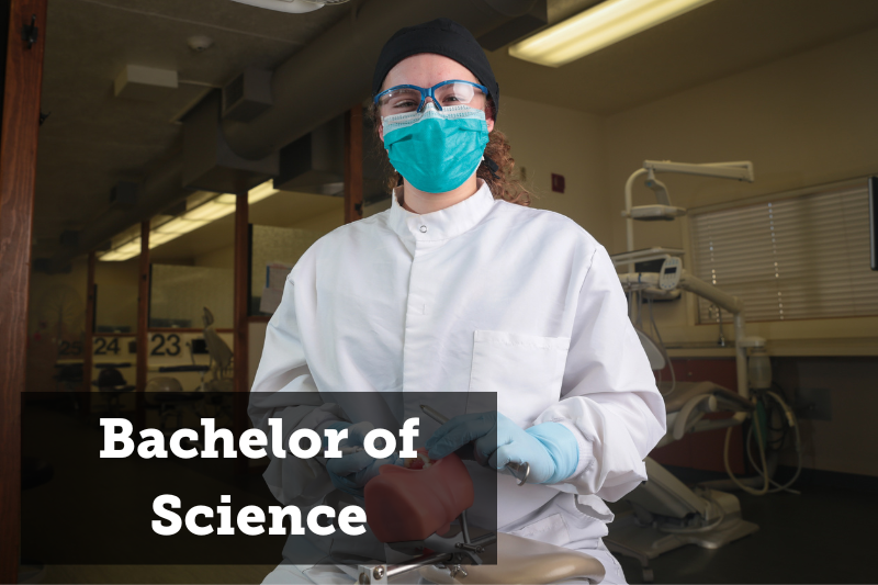 A dental hygienist utilizing tools on a model of teeth. Text reads Bachelor of Science