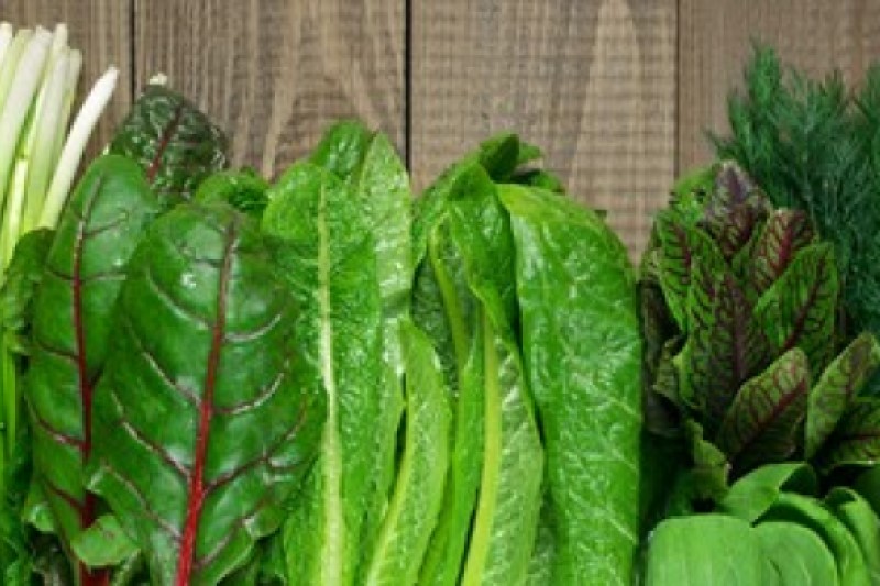 Romaine lettuce, kale, and other nutrient-dense greens