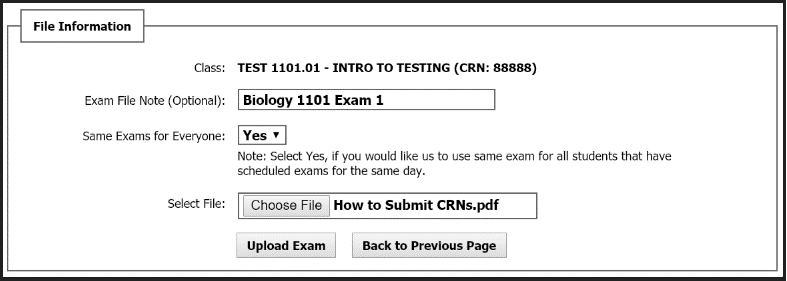 Filling out the fields within the File Information section within the On the SUBMIT EXAM ELECTRONICALLY AND EXAM INSTRUCTION page