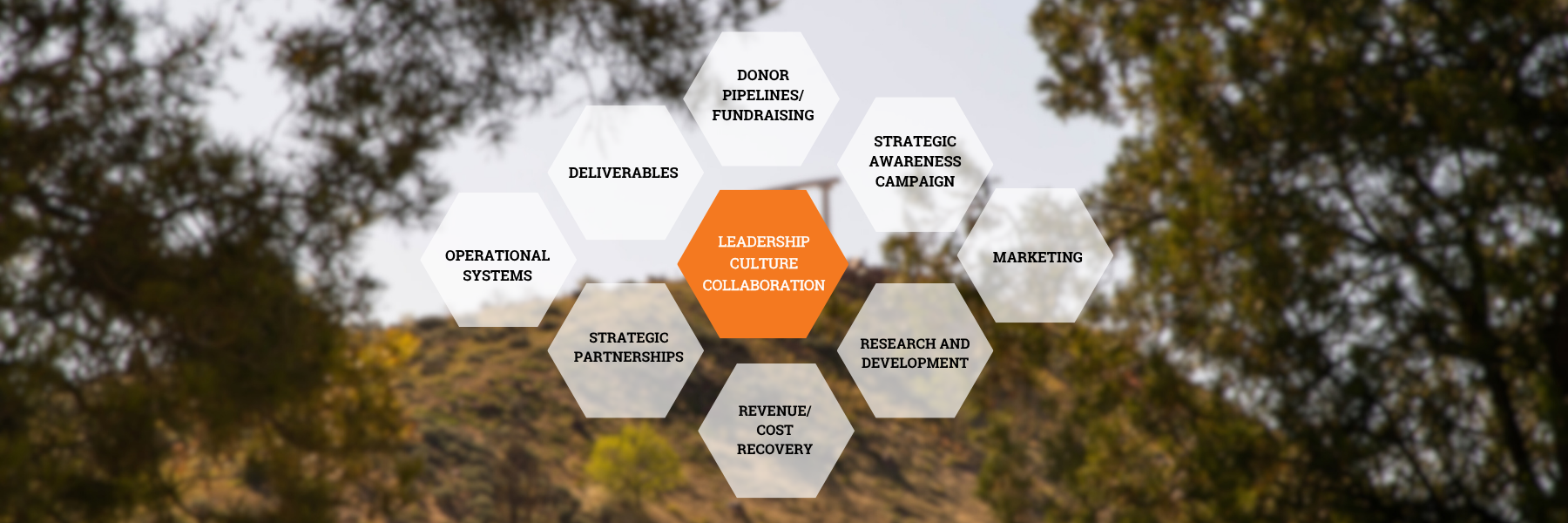 Hexagon diagram with “Leadership Culture & Collaboration” at the center, surrounded by Donor Pipelines/Fundraising, Strategic Awareness Campaign, Marketing, Research and Development, Revenue/Cost Recovery, Strategic Partnerships, Operational Systems, and Deliverables, over a blurred campus image.