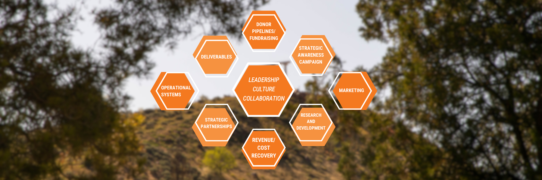 Hexagon diagram with “Leadership Culture & Collaboration” at the center, surrounded by Donor Pipelines/Fundraising, Strategic Awareness Campaign, Marketing, Research and Development, Revenue/Cost Recovery, Strategic Partnerships, Operational Systems, and Deliverables, over a blurred campus image.