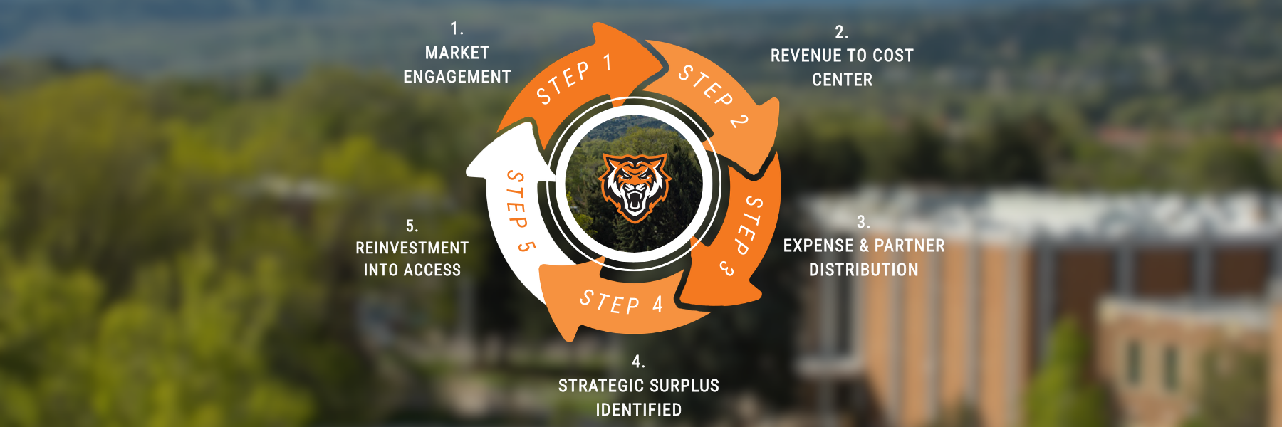 Five-step revenue reinvestment cycle showing market engagement, revenue to cost center, expense distribution, strategic surplus identified, and reinvestment into access and innovation.