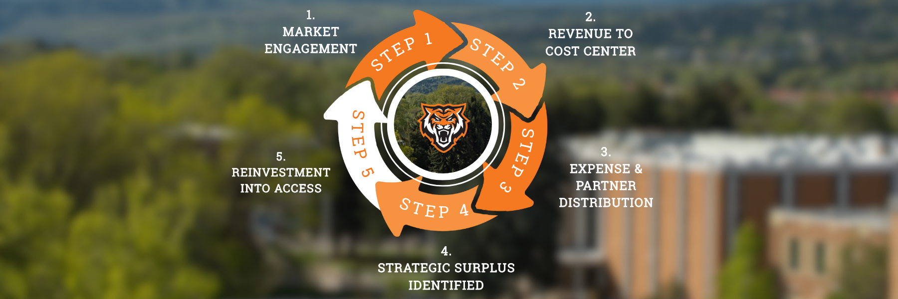 Five-step revenue reinvestment cycle showing market engagement, revenue to cost center, expense distribution, strategic surplus identified, and reinvestment into access and innovation.