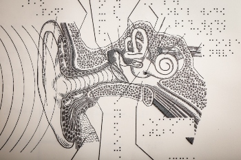 Photo of a braille page showing a diagram of the inner ear.