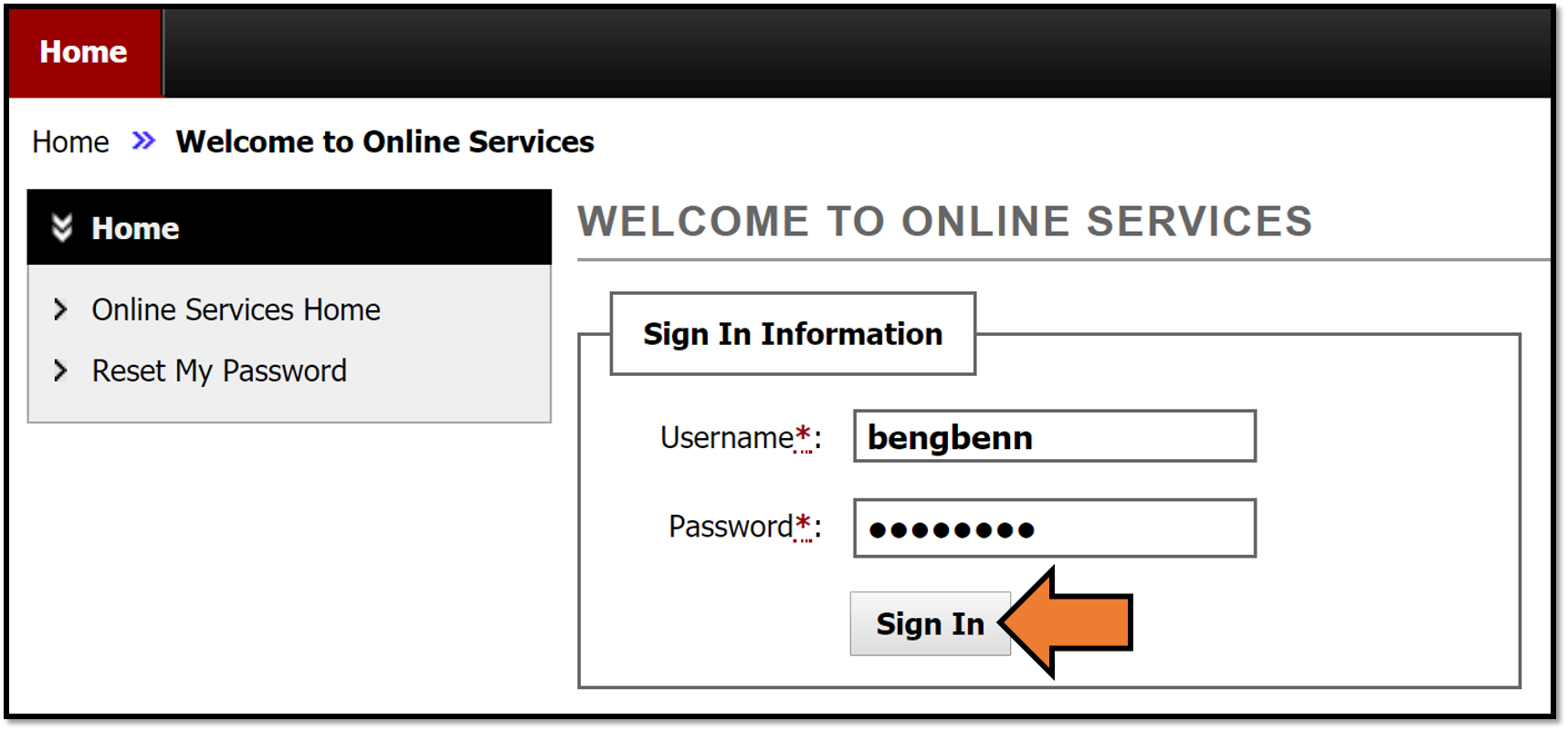 Signing in to the Services Portal using your new username and password