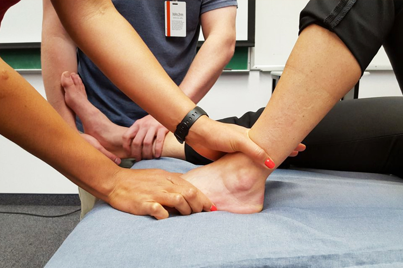 Physical therapy students assess a patient's ankle