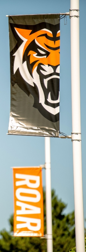 New Bengal and Roar Banners on Martin Luther King Jr. Way