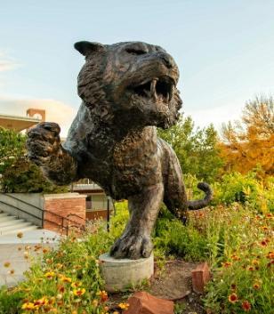 Bengal Statue outside of the Student Union Building.