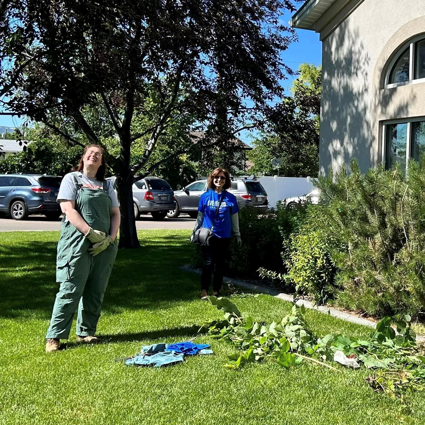 Grad school staff volunteering at the library for Day of Service