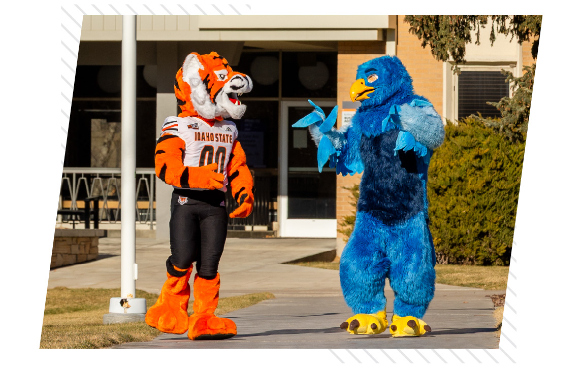 Benny the Bengal, Idaho State University’s mascot, walks and interacts with the College of Eastern Idaho (CEI) mascot outside on campus in front of a campus building on a sunny day.