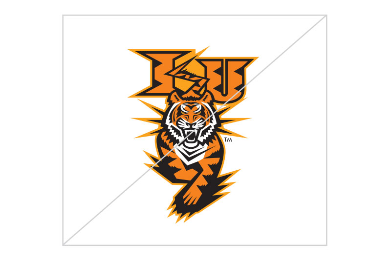 Do not use any past Bengal designs