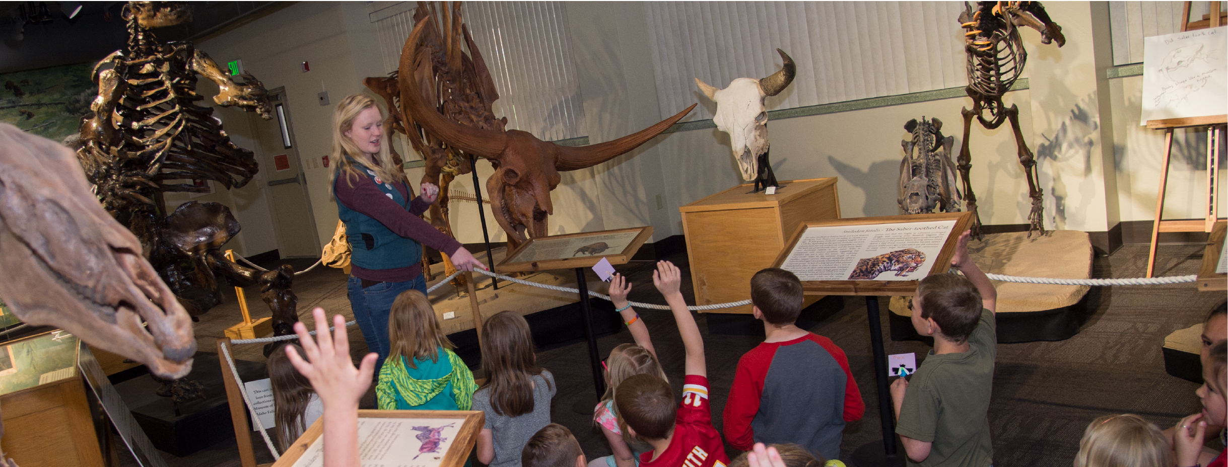 A class field trip answering questions