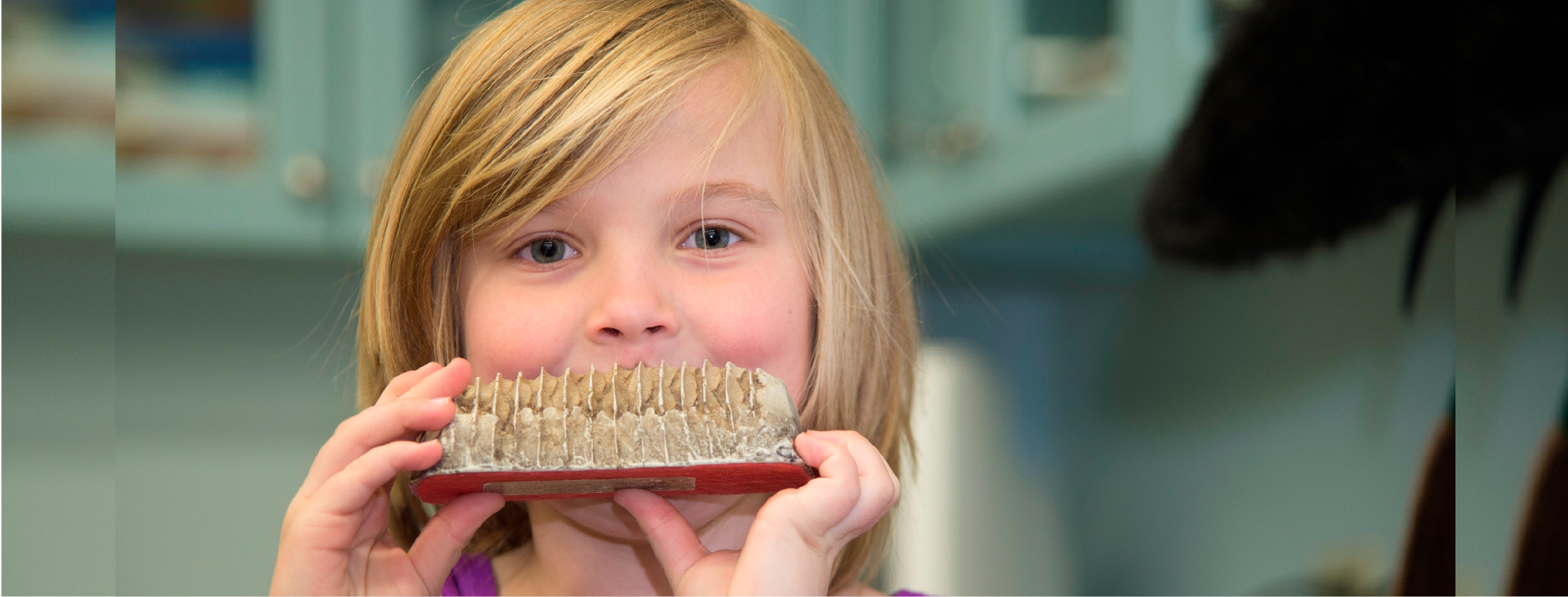 Young girl discovering the difference between teeth