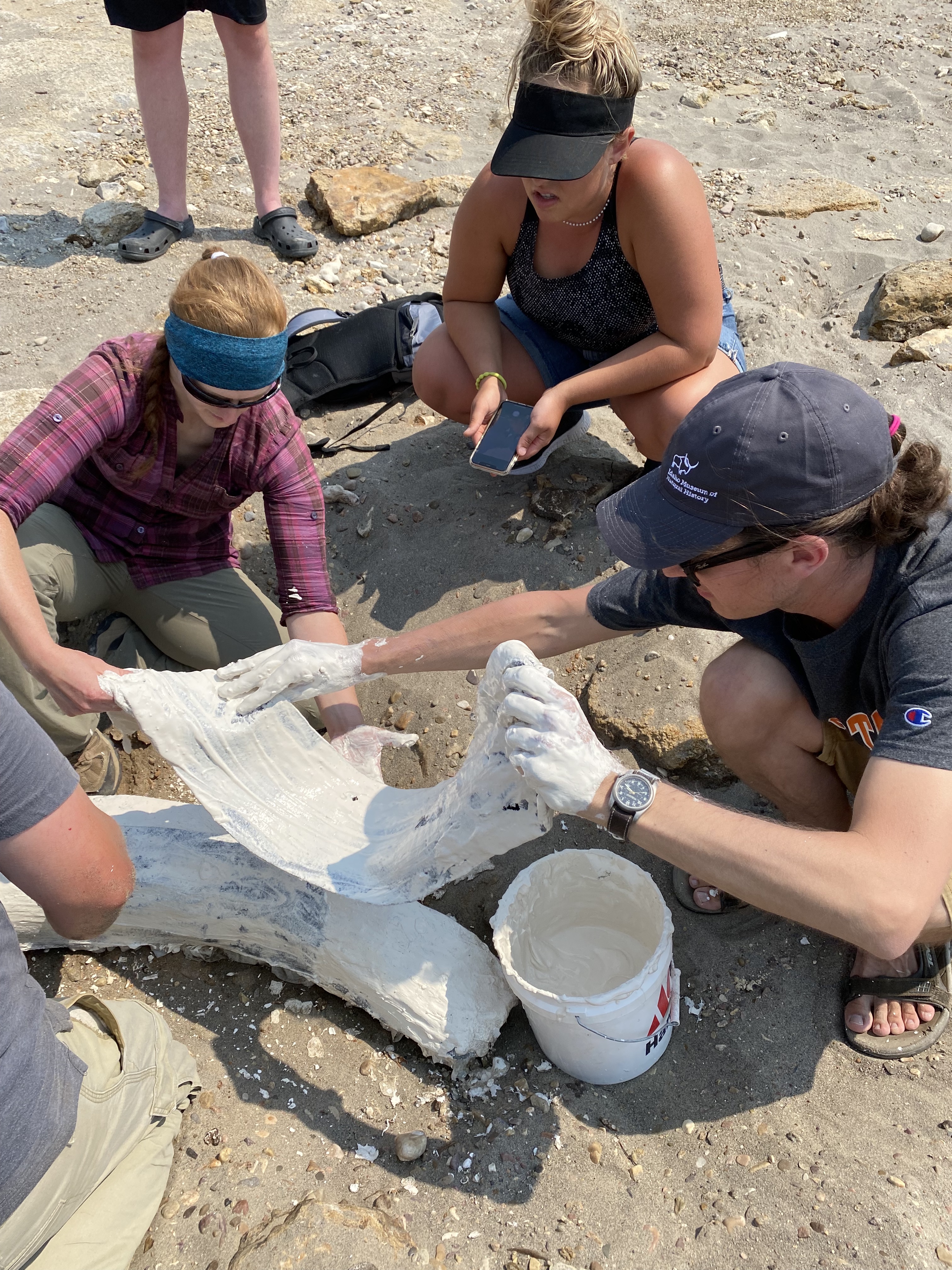 ISU graduate and undergraduate students apply a plaster jacket to a Columbian mammoth tusk found near American Falls alongside IMNH paleontology curator Dr. Brandon Peecook.