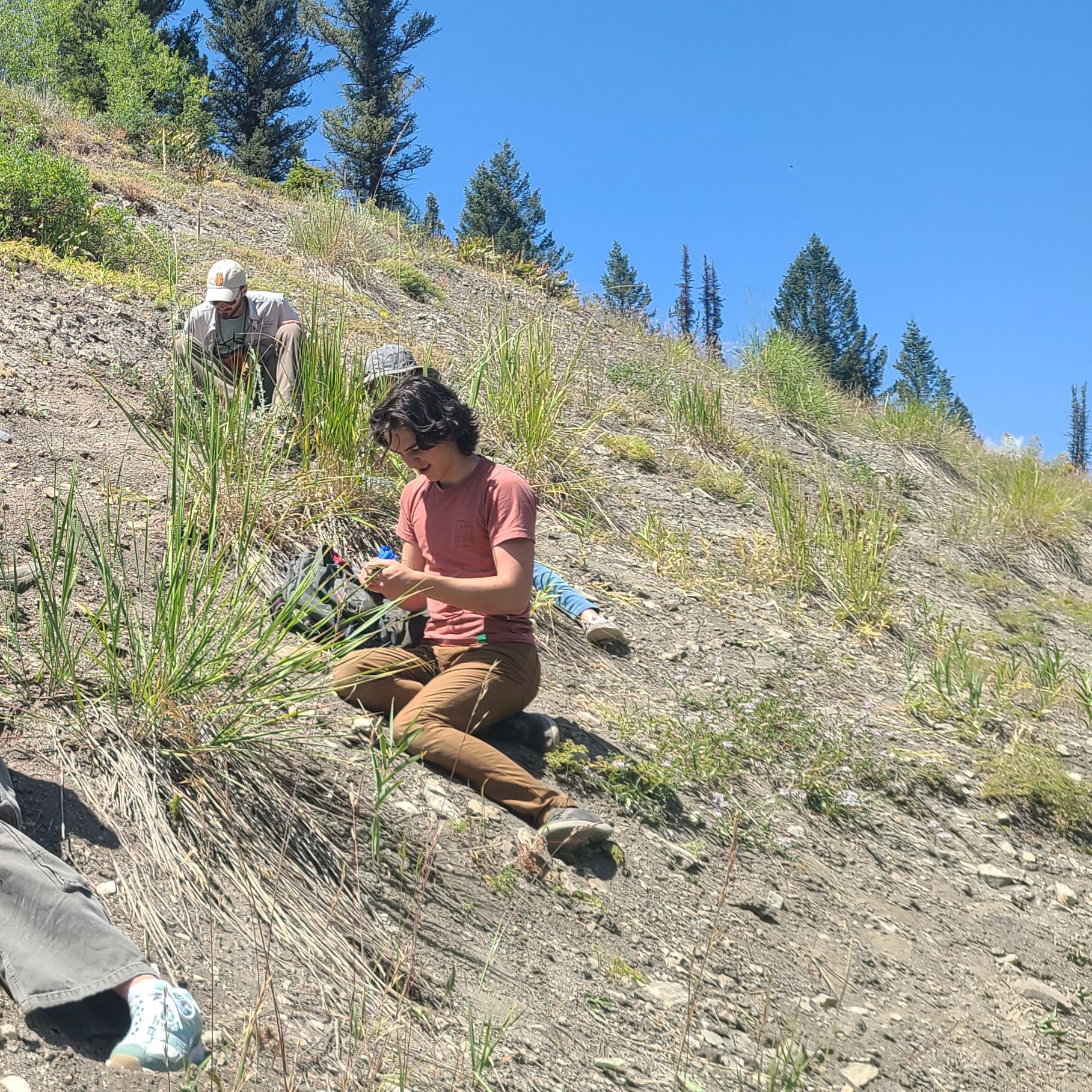 High school age students looking at the ground for fossils on a slope