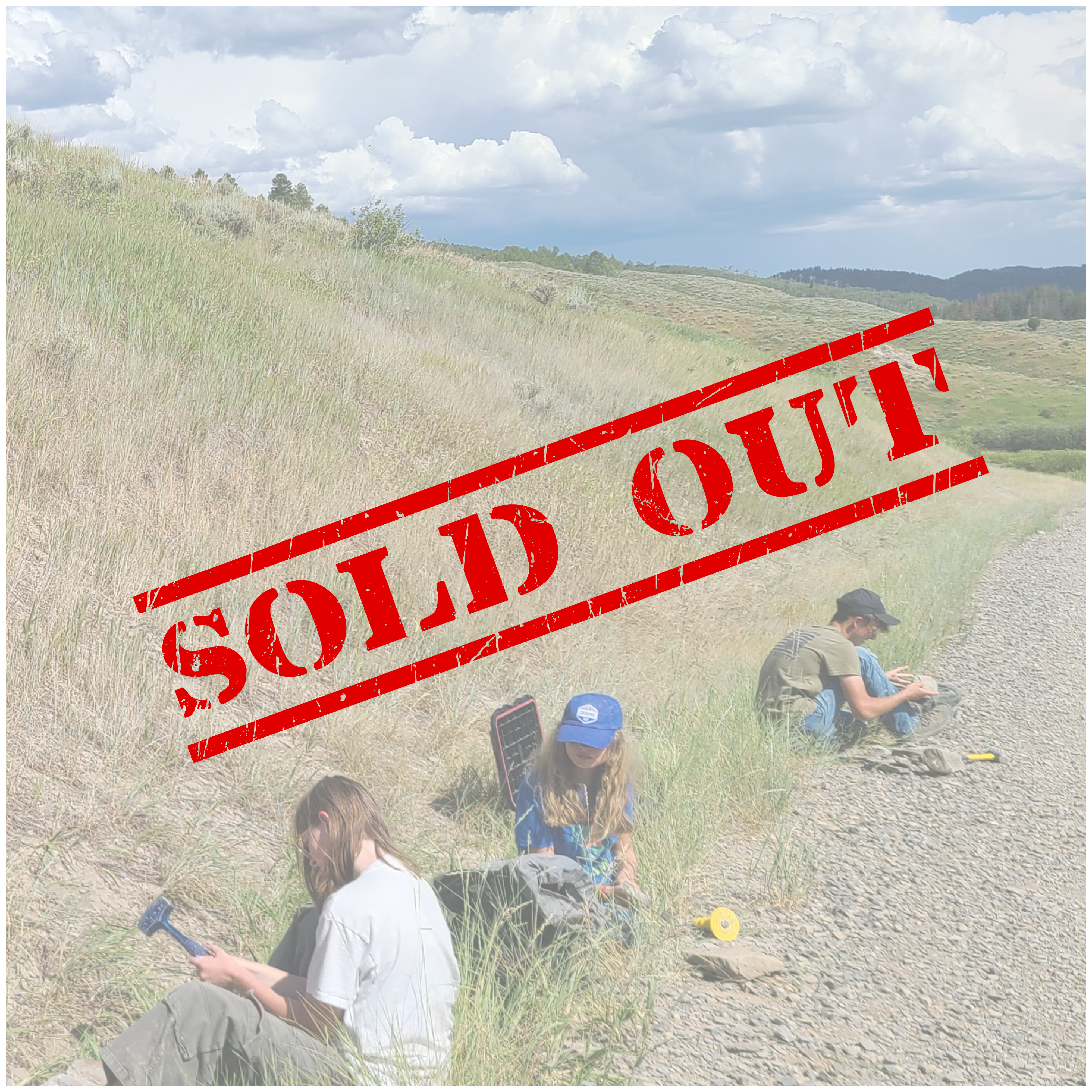 SOLD OUT, teenagers examining rocks for fossils