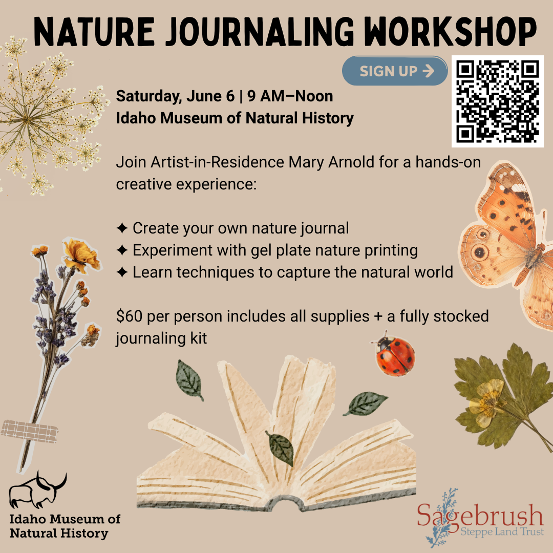 Nature Journaling Workshop with Mary Arnold