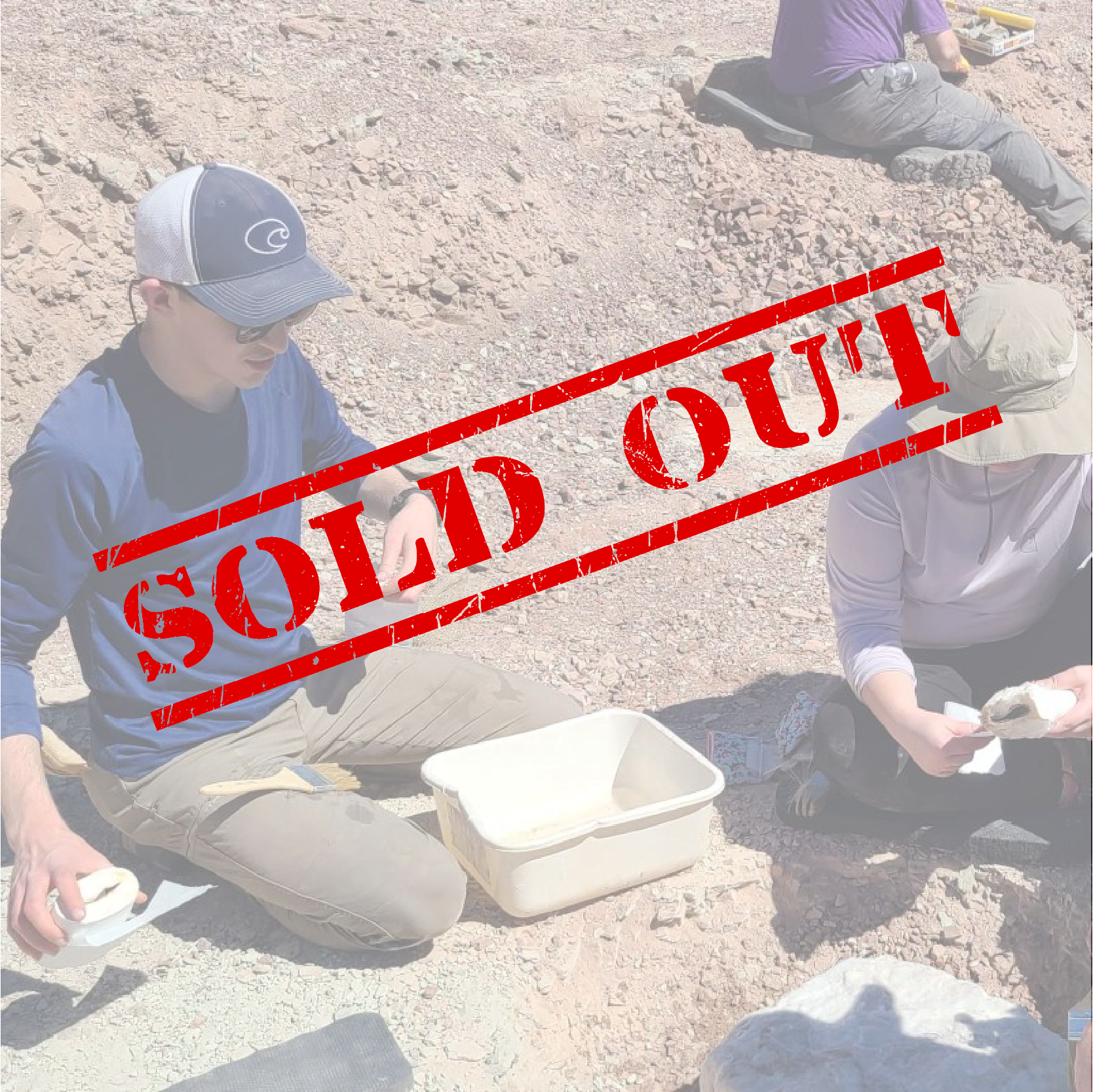 SOLD OUT two college students preparing paster to paster jacket a dinosaur fossil in St. George, Utah