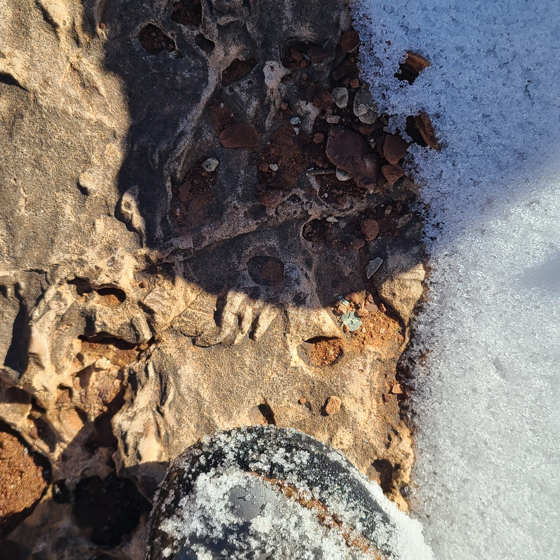 A three-toed Triassic footprint, snow, and a paleontologist's boot for scale.