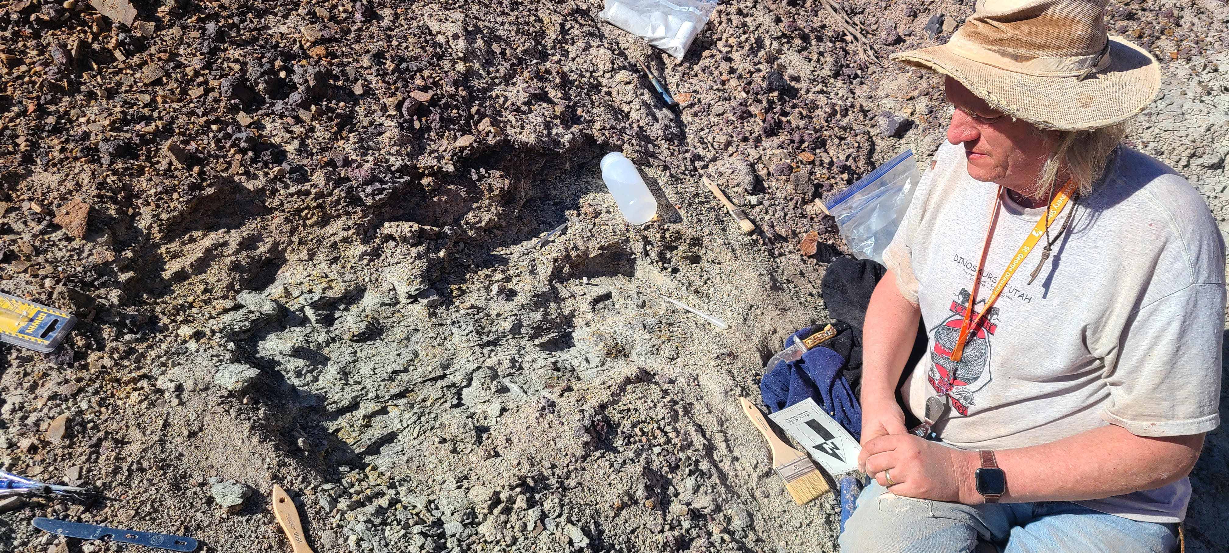 Paleontologist Andrew Milner from the St. George Dinosaur Discovery Site looks at phytosaur bones found in the Chinle Formation.