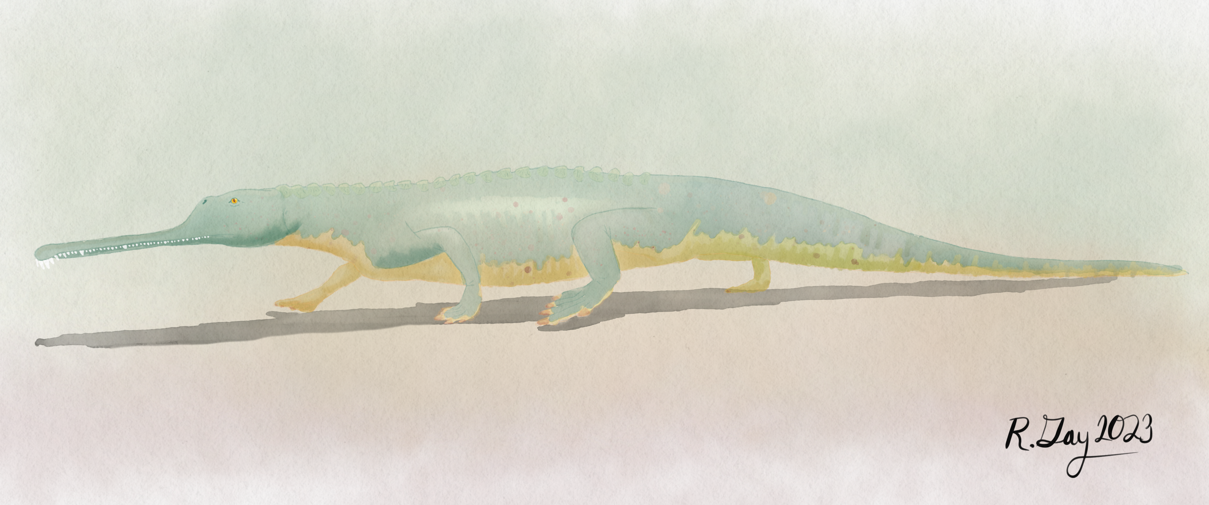 A reconstruction of a phytosaur similar to the kind found by the team.
