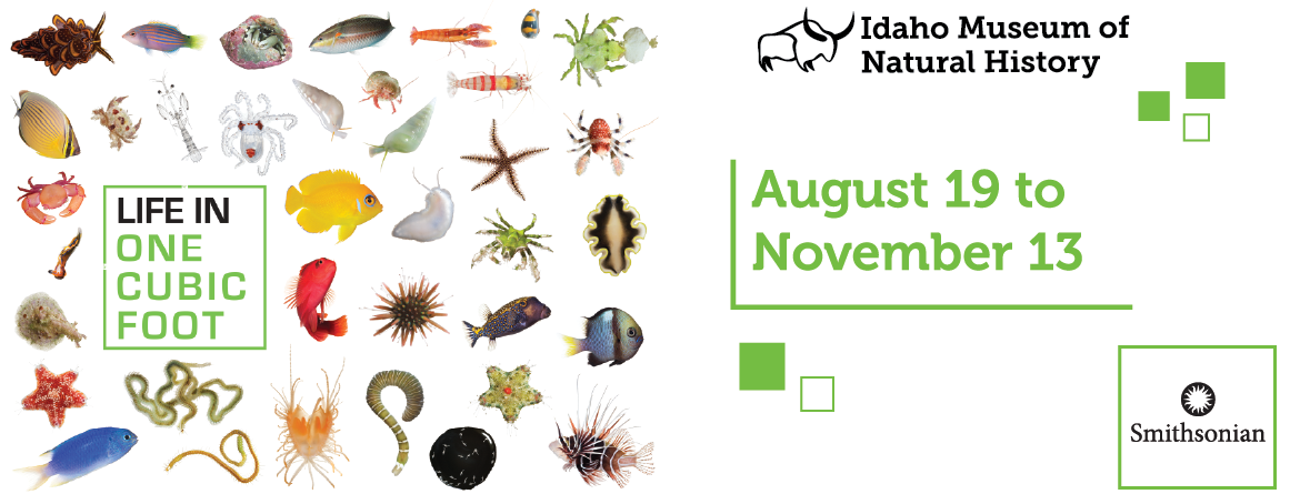 Life In One Cubic Foot, Smithsonian August 18 - November 13, 2022