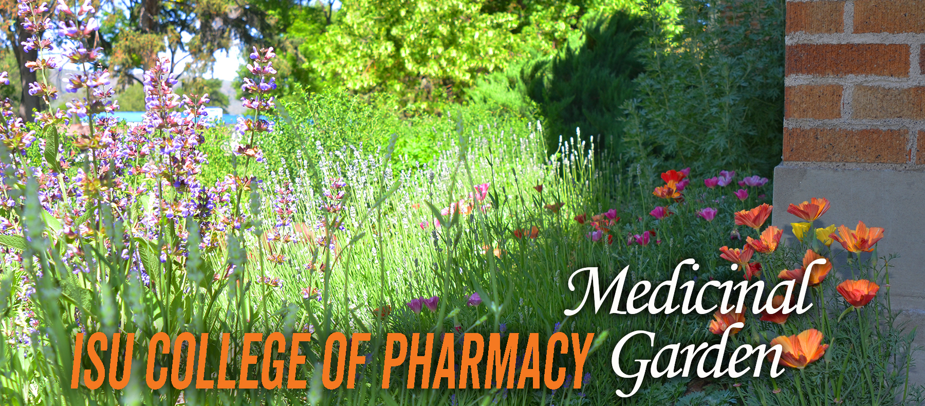 ISU College of Pharmacy Medicinal Garden