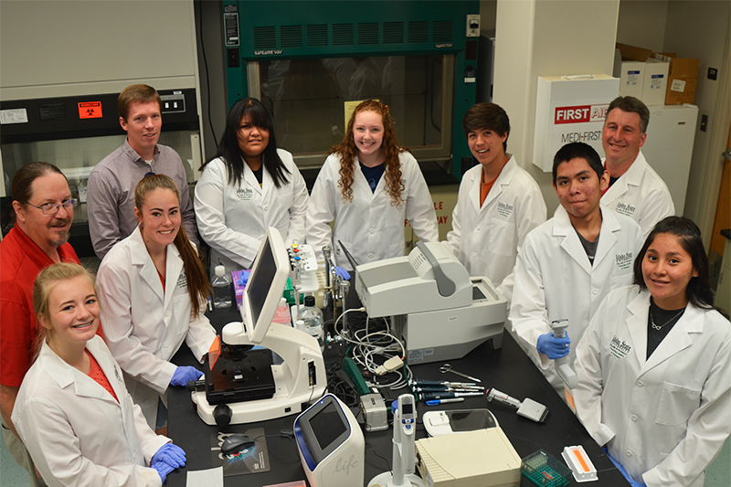 High school students develop biomedical research skills in the laboratory during a summer internship at the College of Pharmacy. 