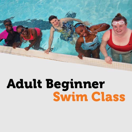 Adult Beginner Swim Class
