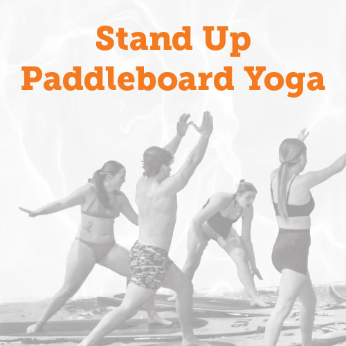 Black aand white photo of students doing yoga on paddleboards